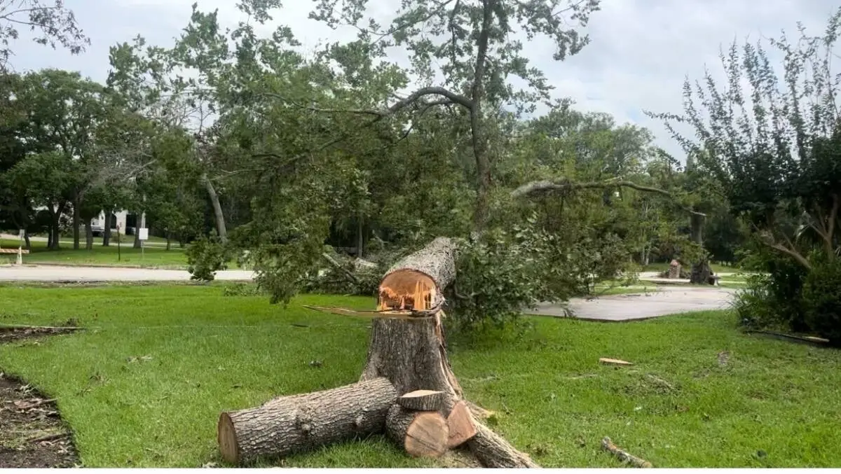 Emergency plumbing, A/C & tree removal work by Handyman Services