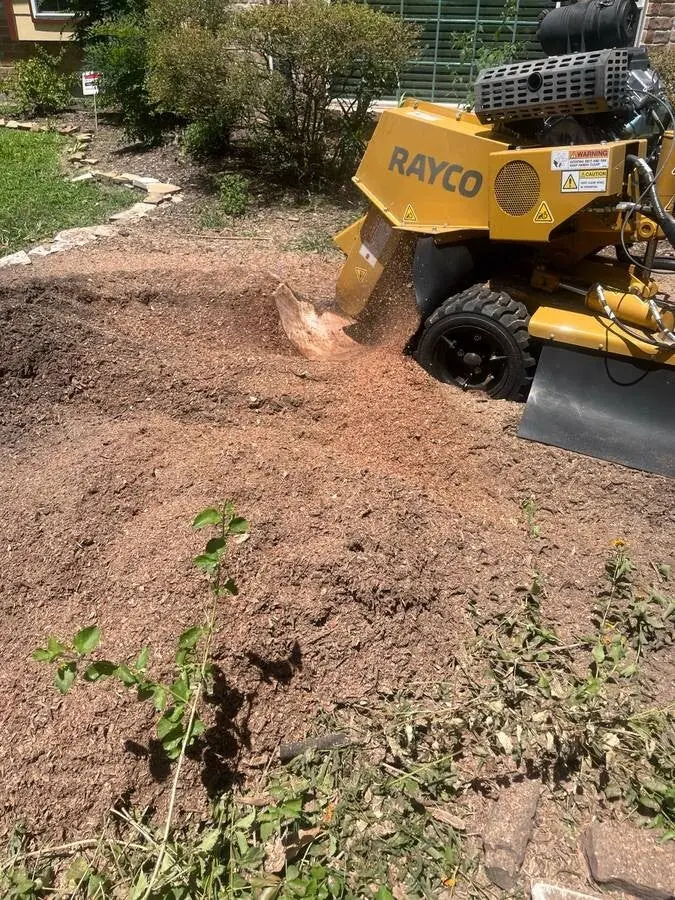 Emergency plumbing, A/C & tree removal work by Handyman Services