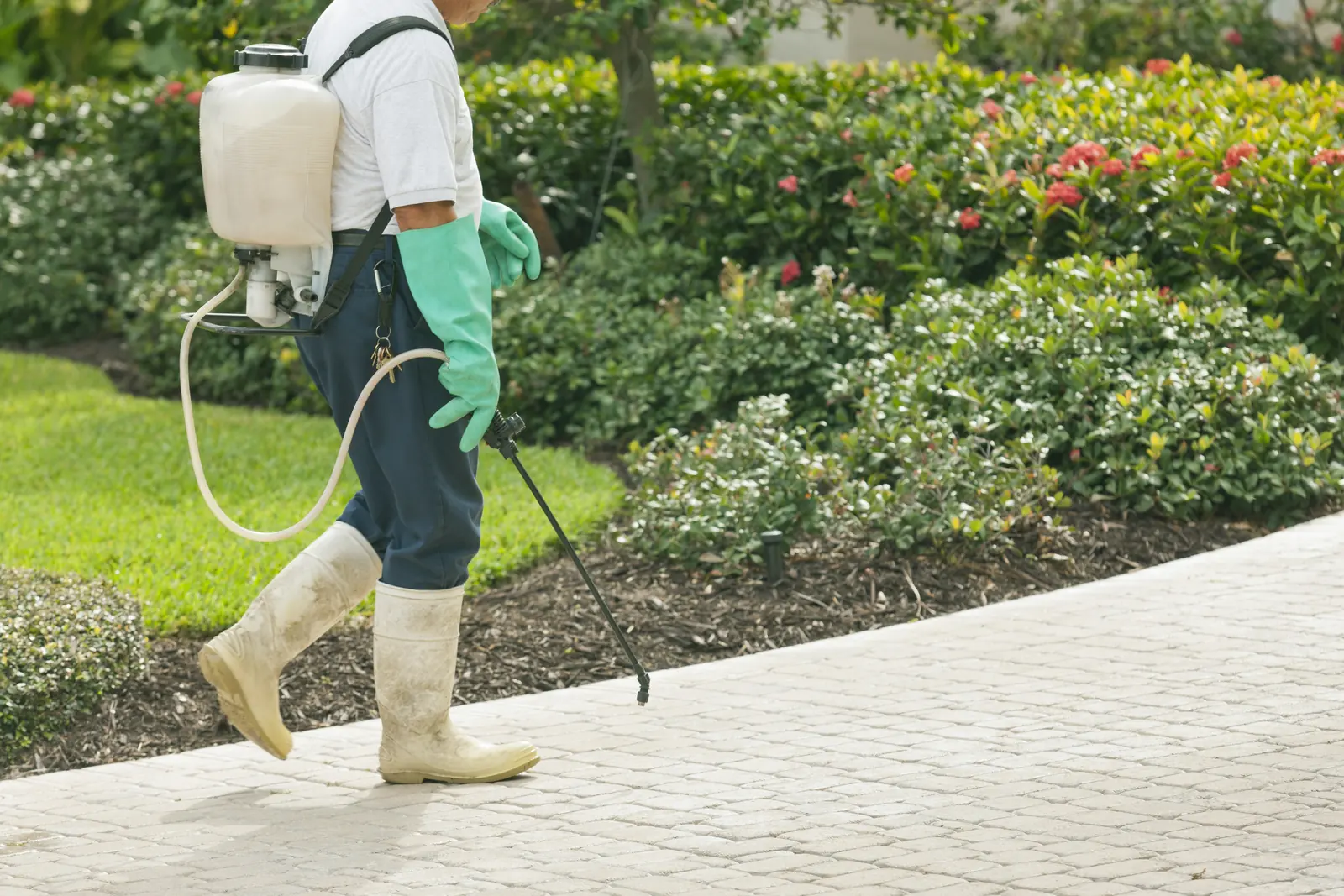 Technician spraying a lawn