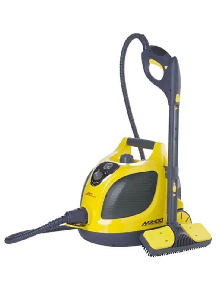 Steam cleaner