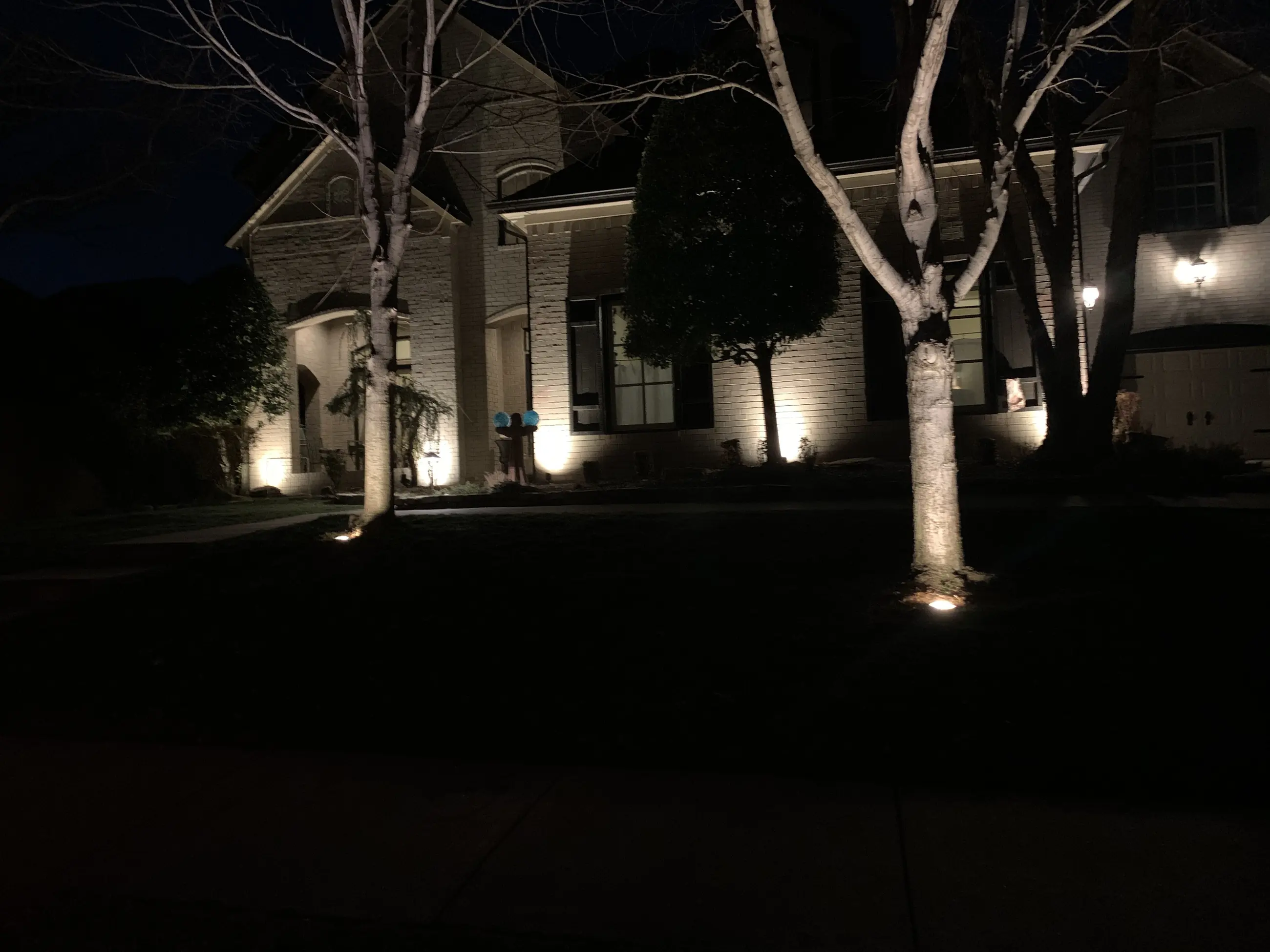 Home and trees lit at night by Giant Landscape lighting