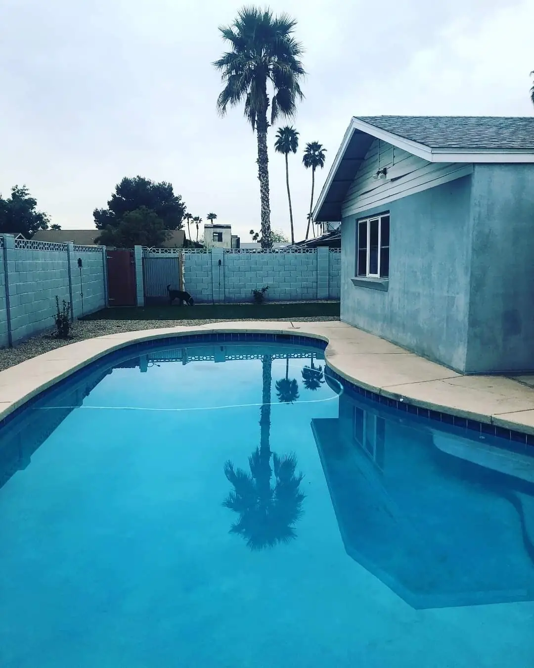 Mr. Klean servicing a pool