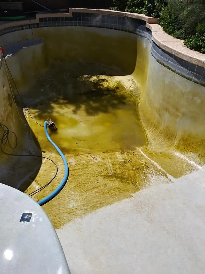 Algae-stained pool before acid wash