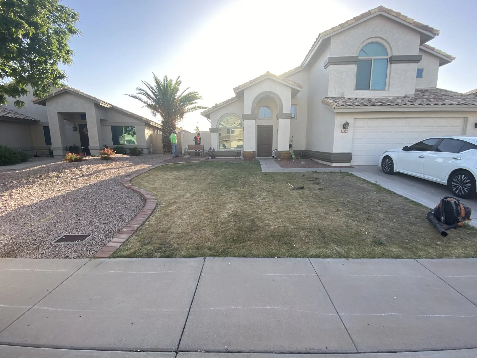 Landscape project by Premium Tree Care