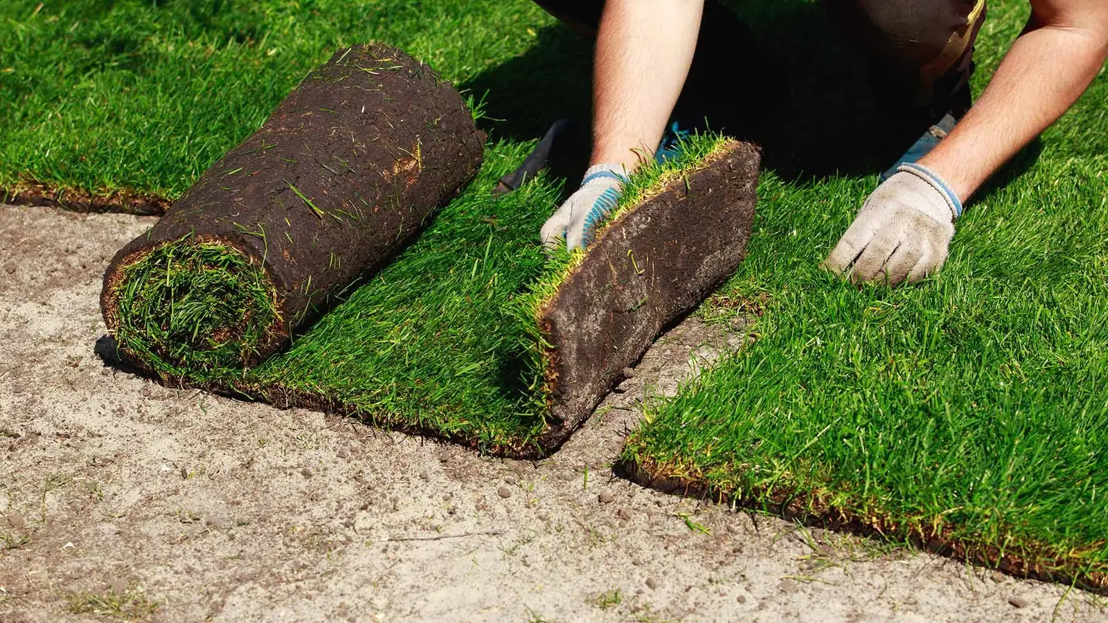 Landscape project by Premium Tree Care