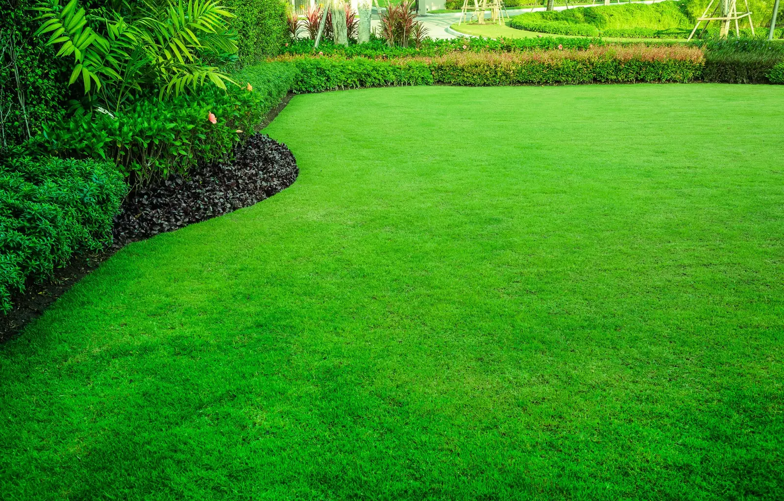 Landscape project by Premium Tree Care