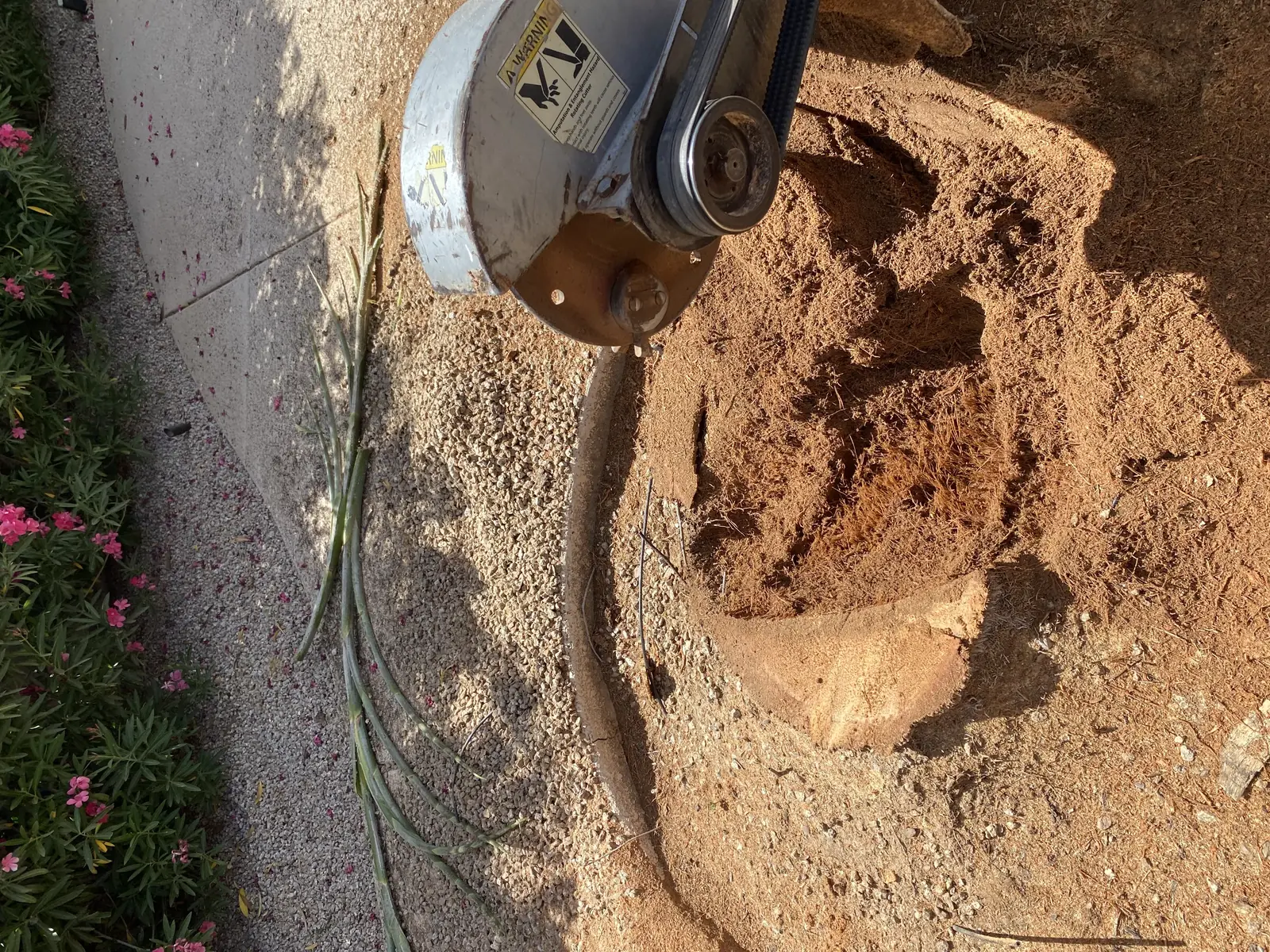 Tree work by Premium Tree Care