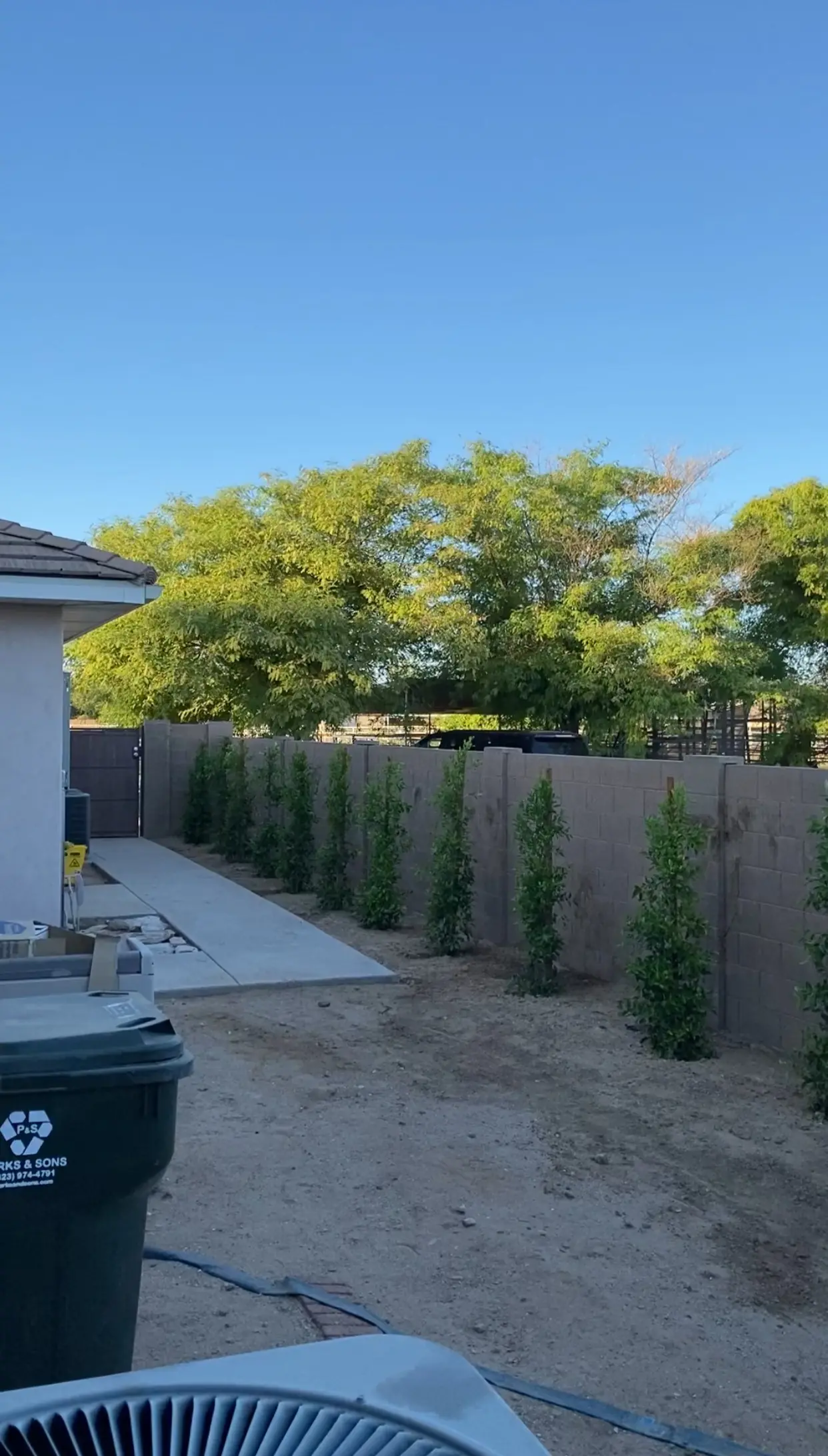 Tree work by Premium Tree Care