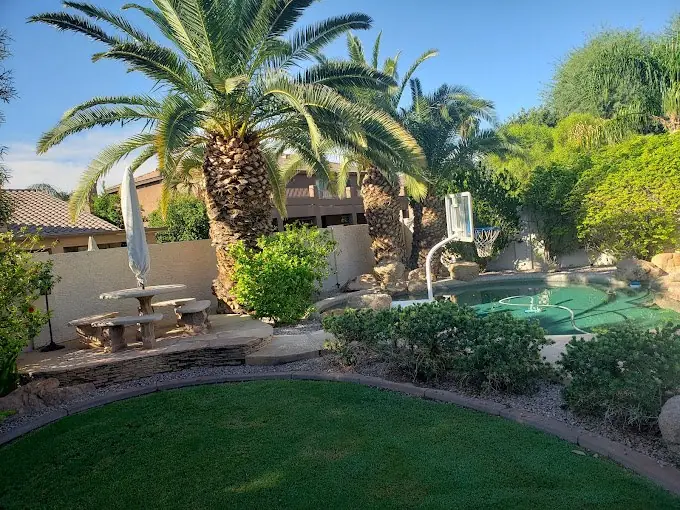 Landscape project by Premium Tree Care